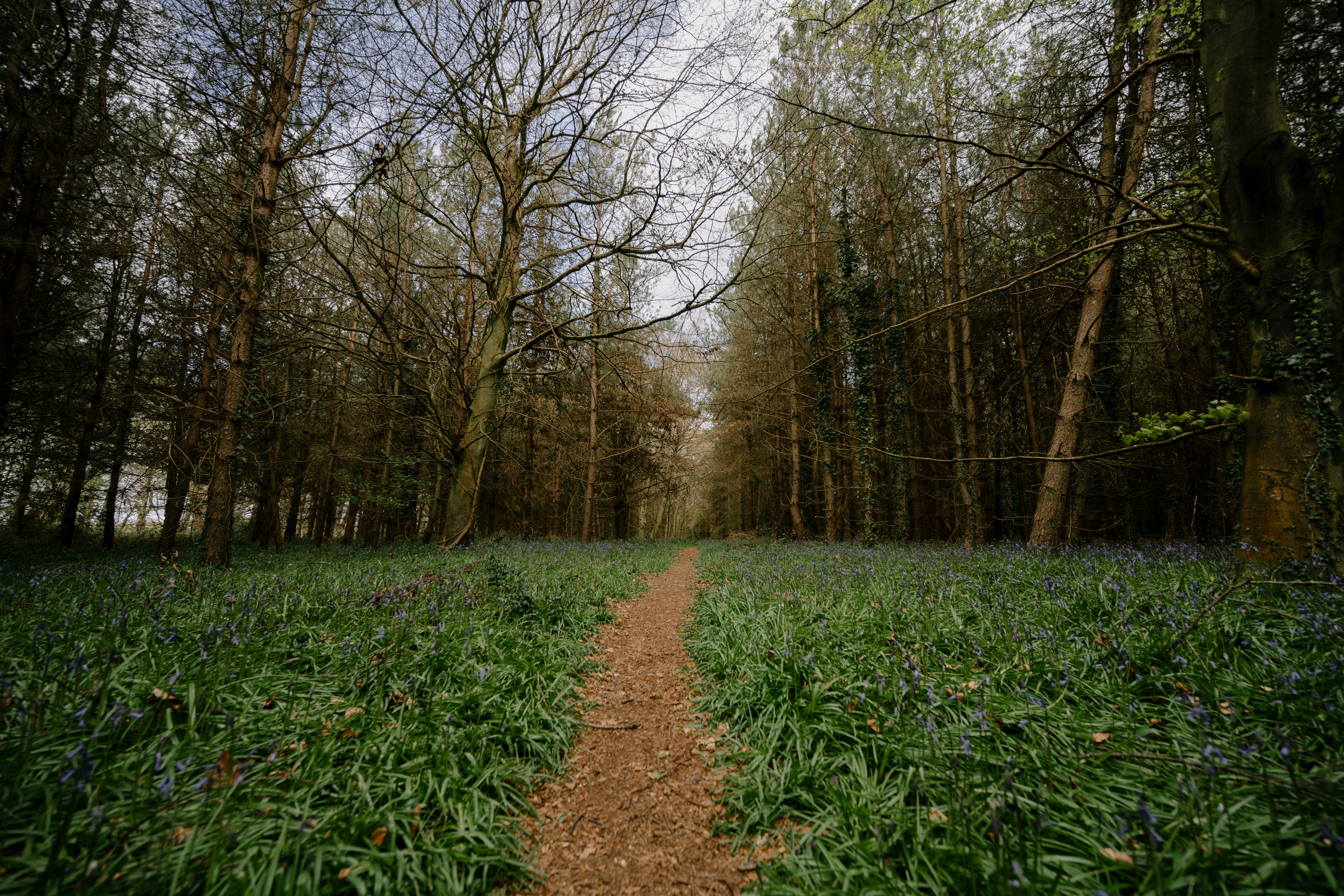 Photo by anniespratt