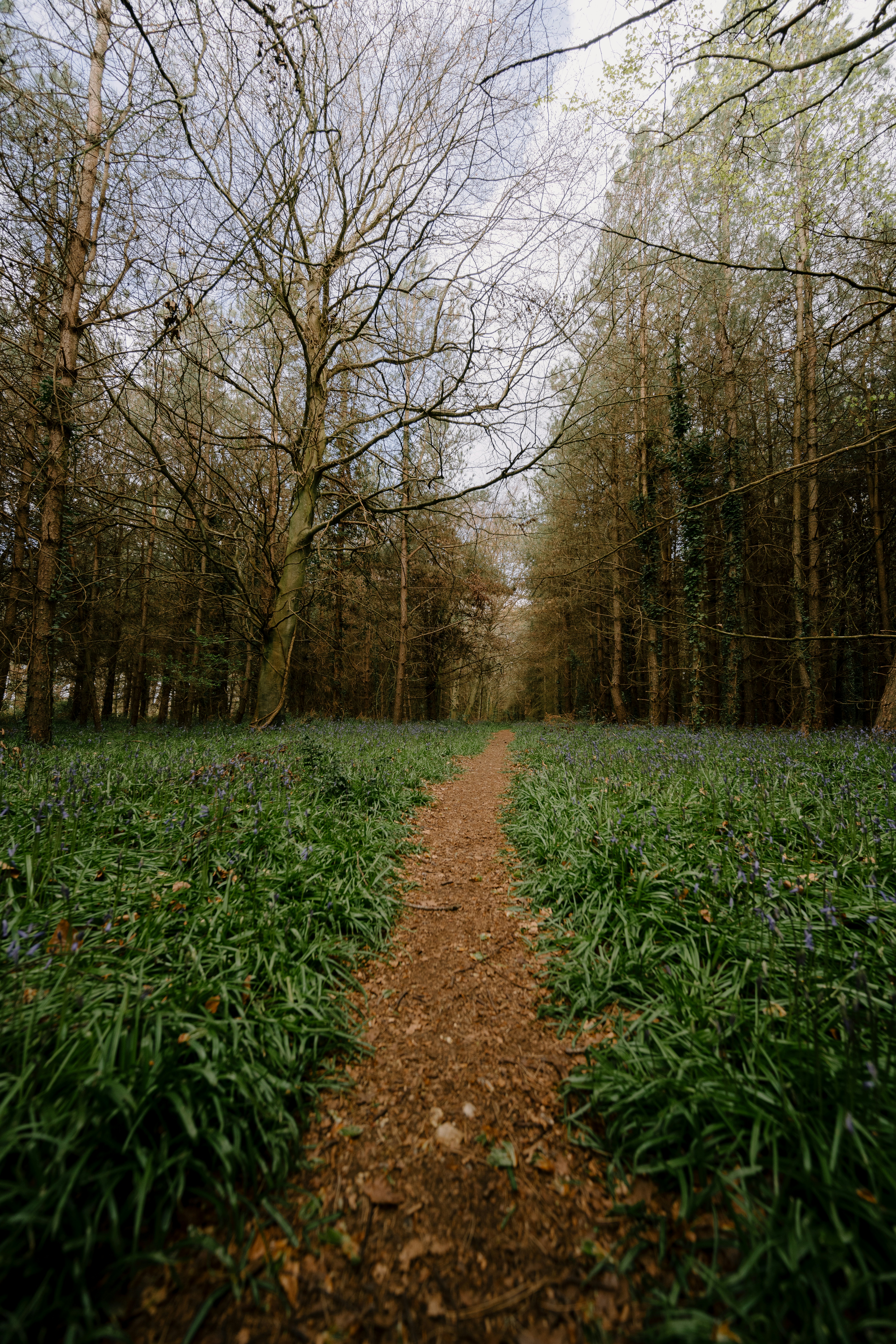 Photo by anniespratt