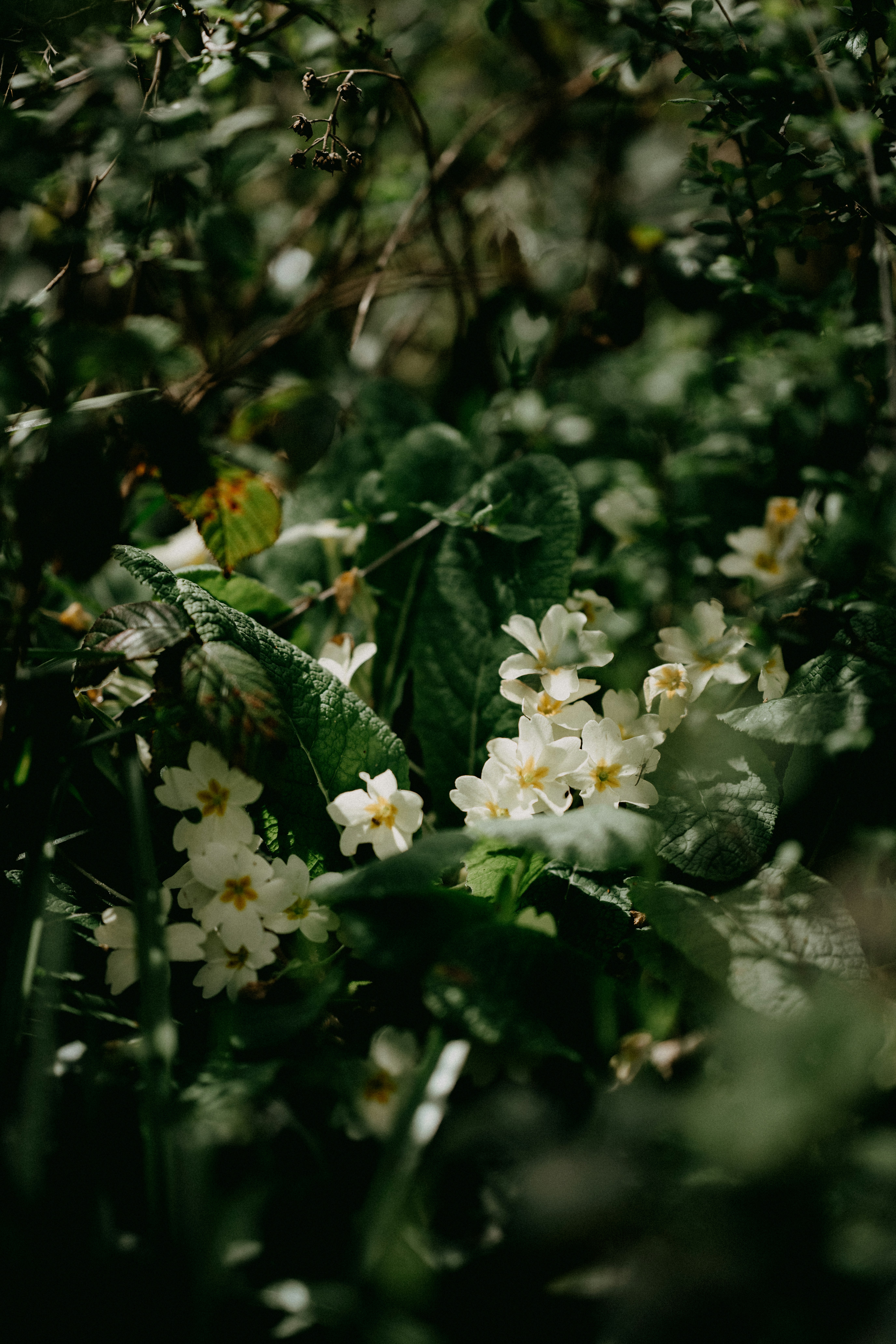 Photo by anniespratt