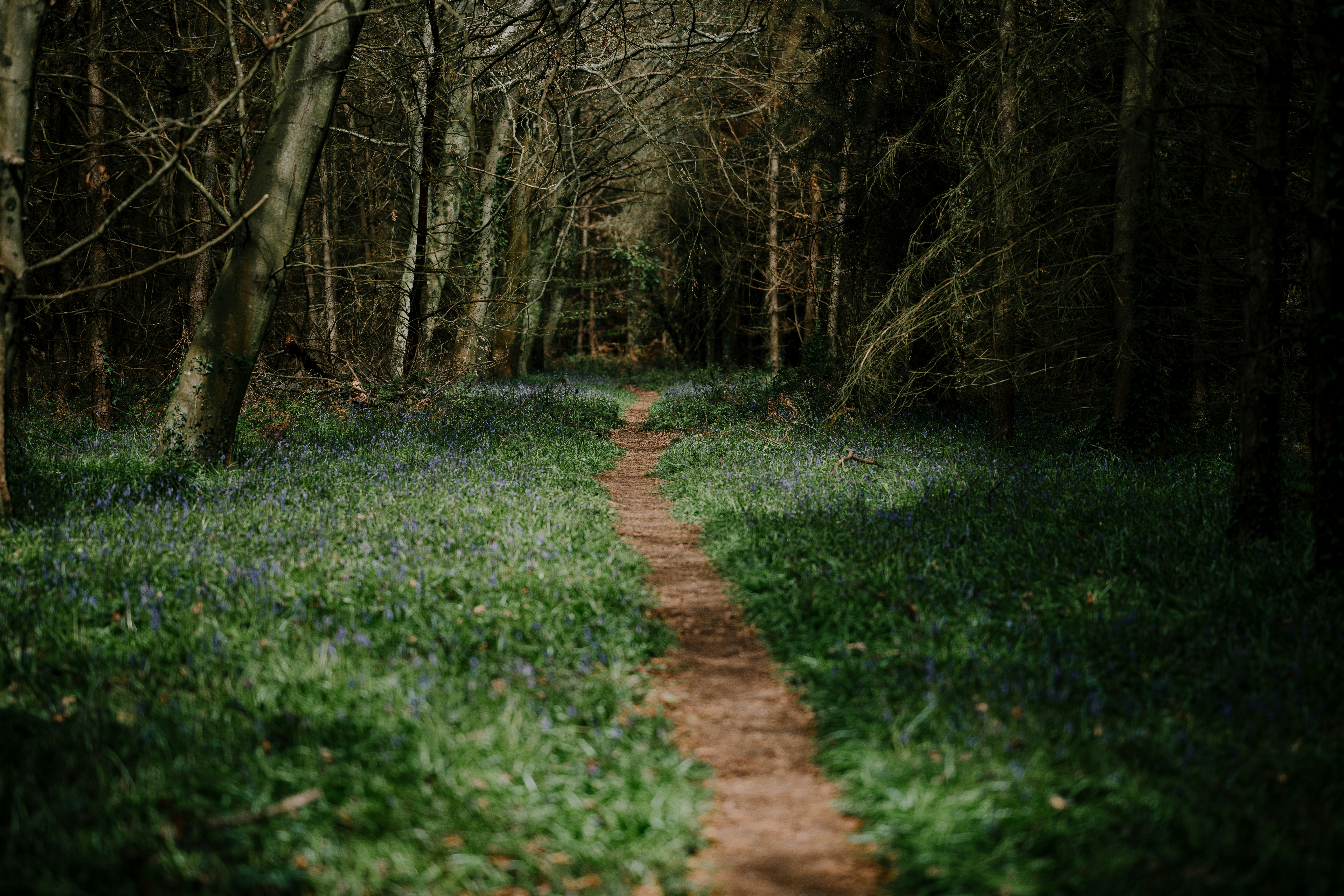 Photo by anniespratt