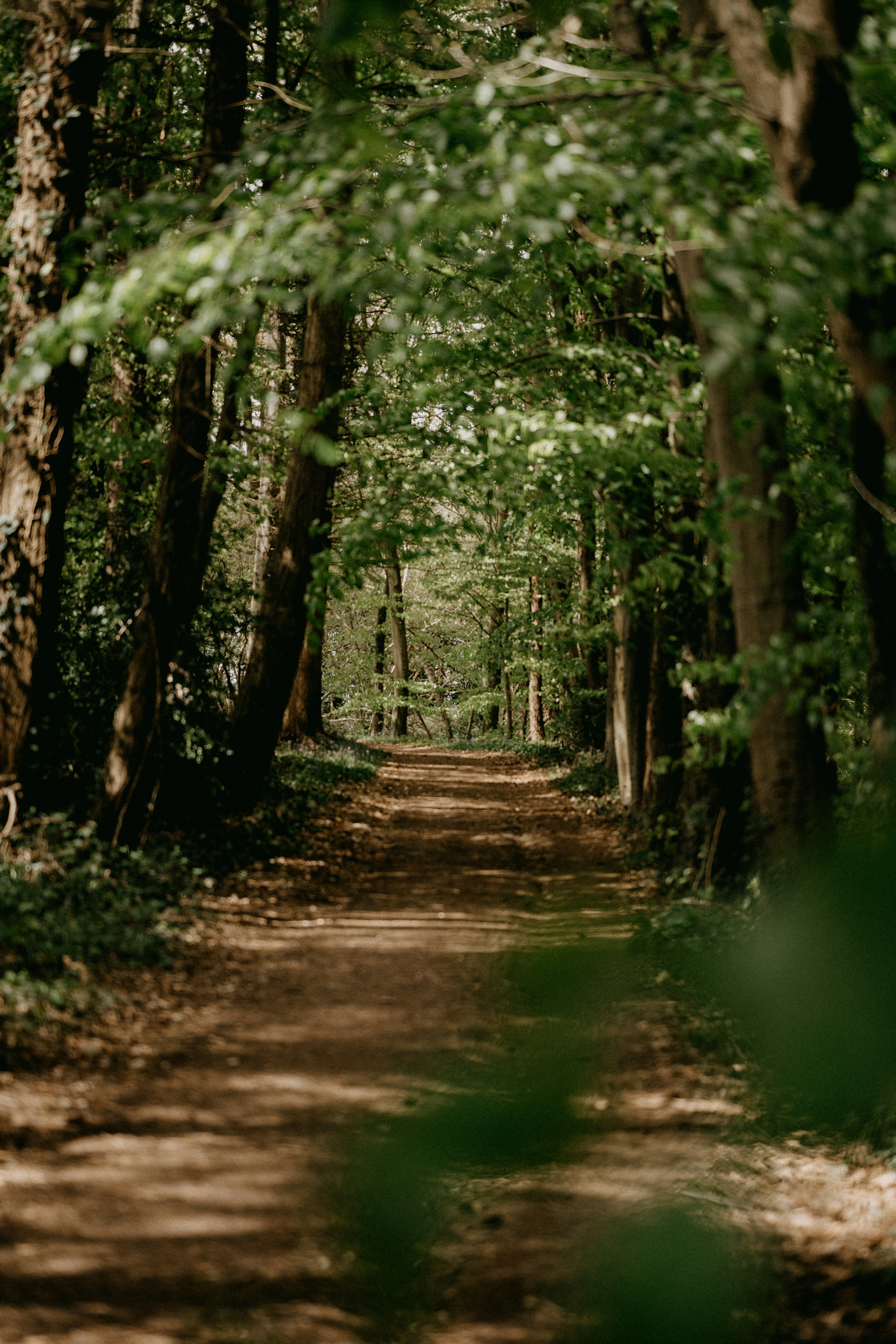 Photo by anniespratt