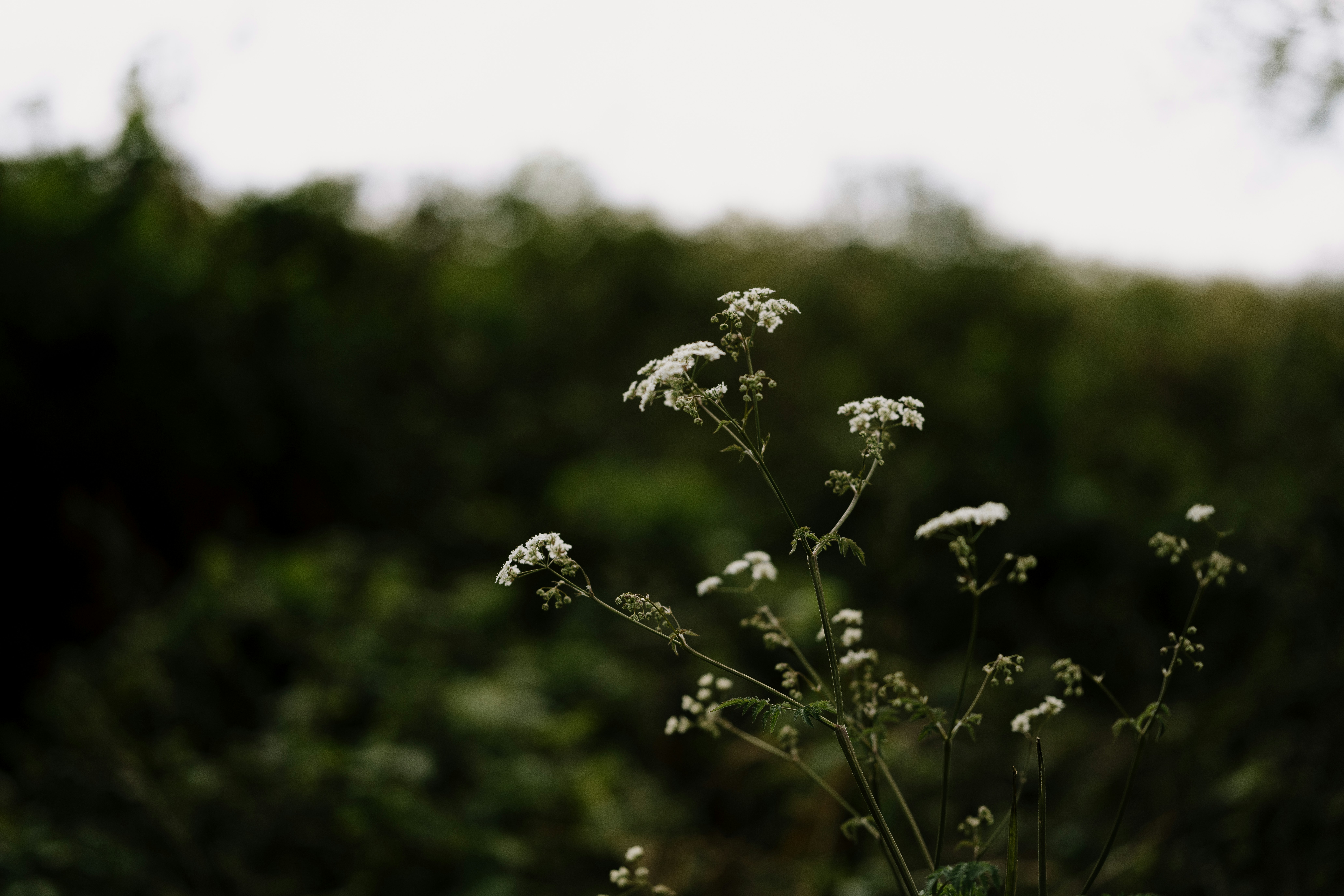 Photo by anniespratt