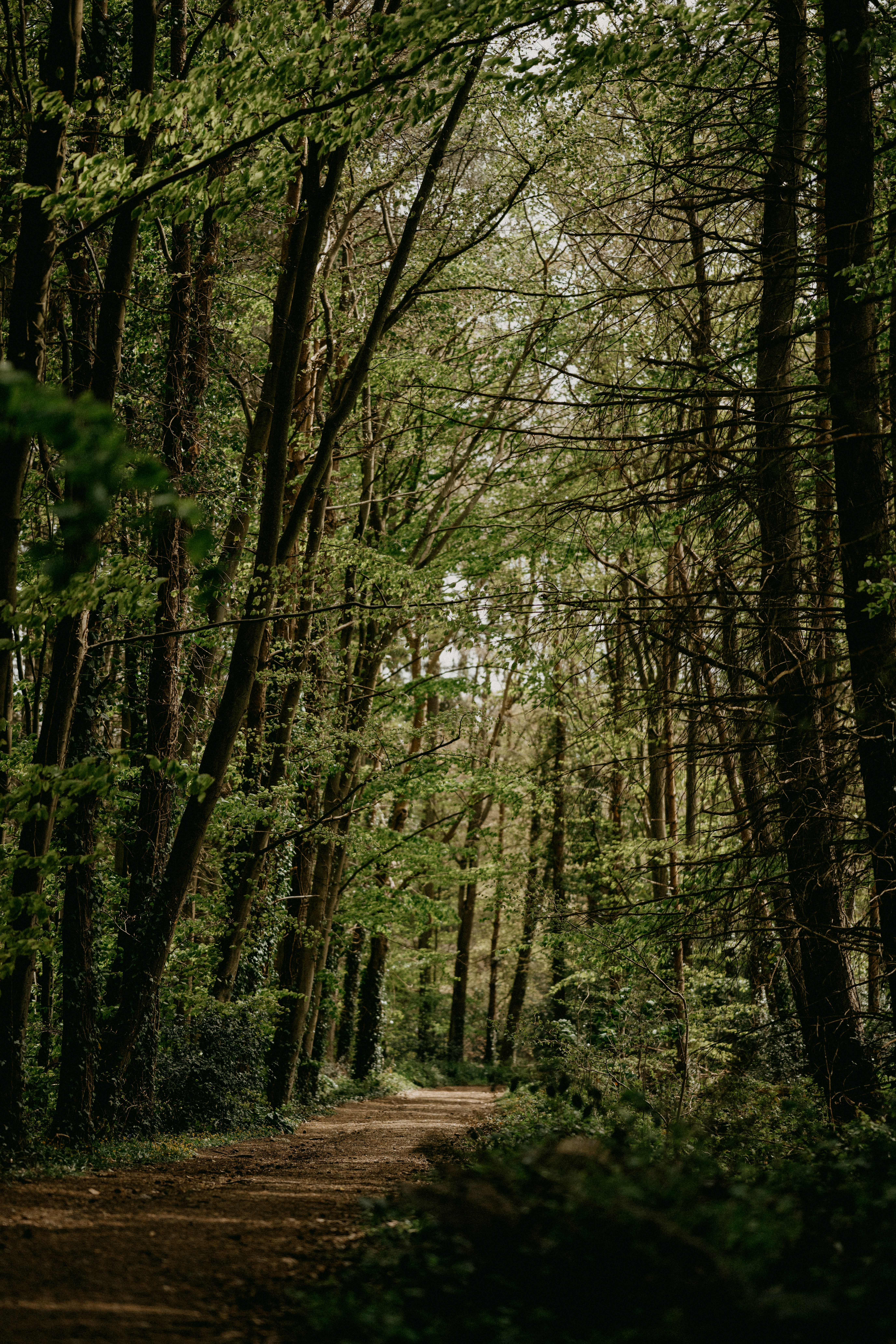 Photo by anniespratt