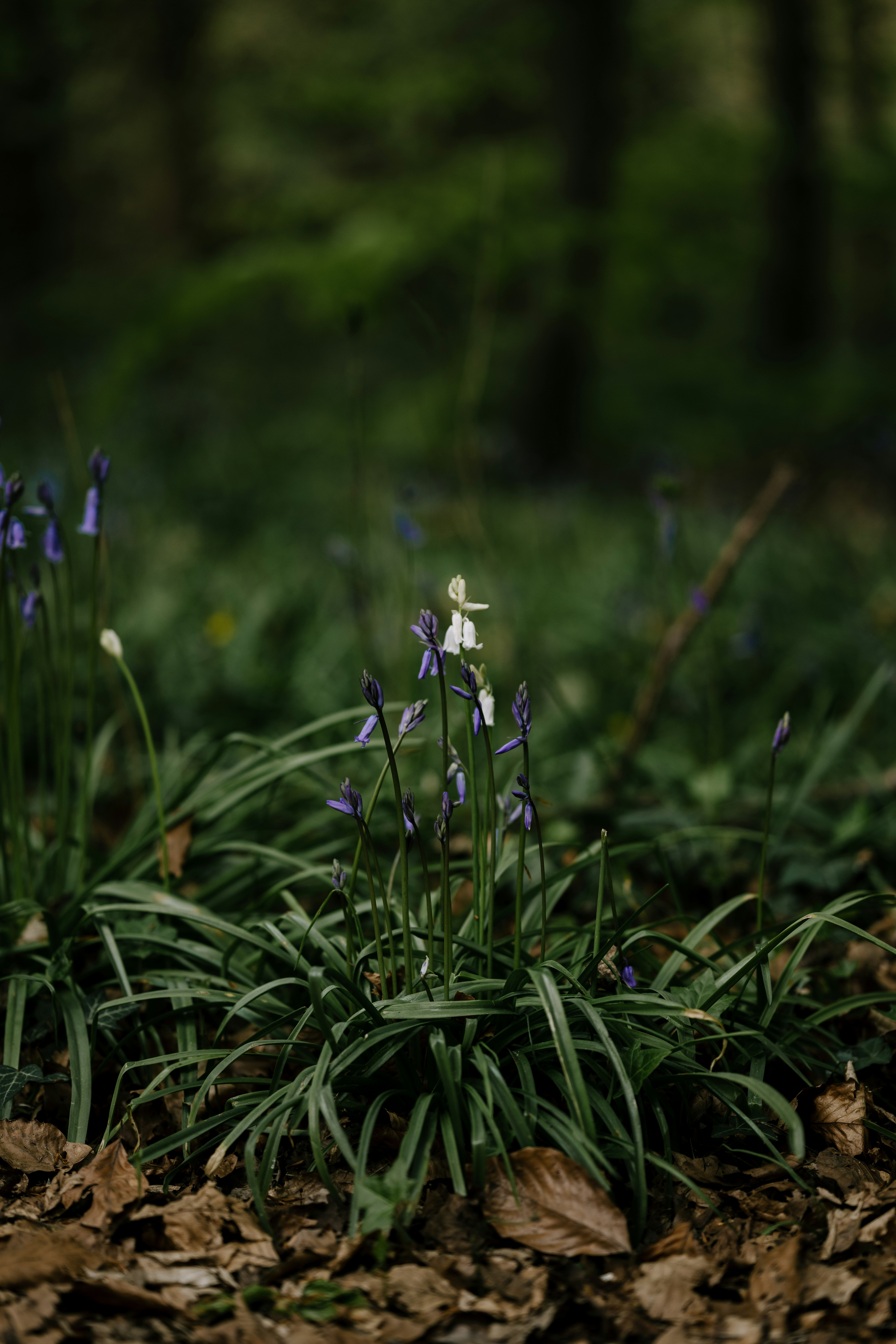 Photo by anniespratt