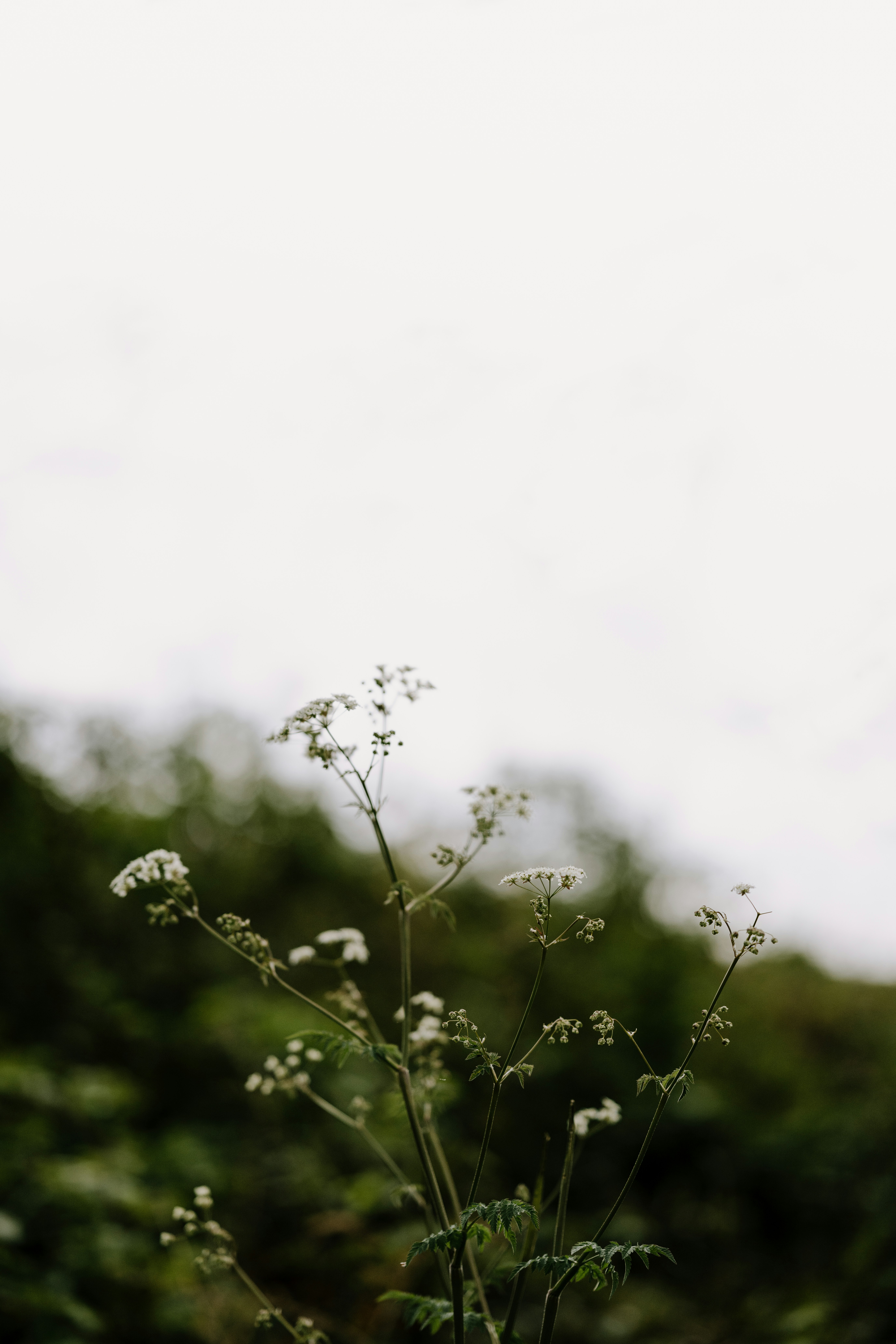 Photo by anniespratt