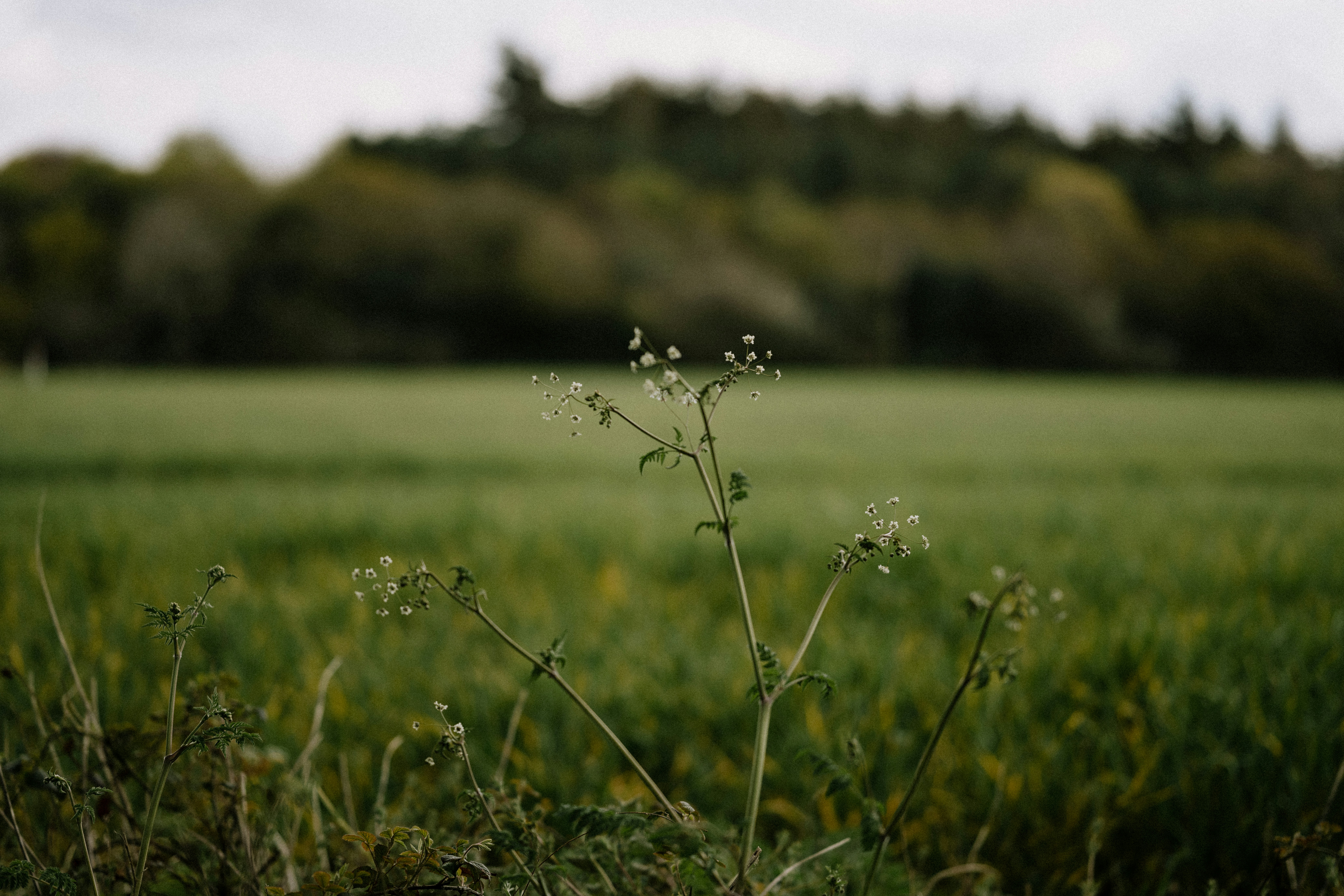 Photo by anniespratt