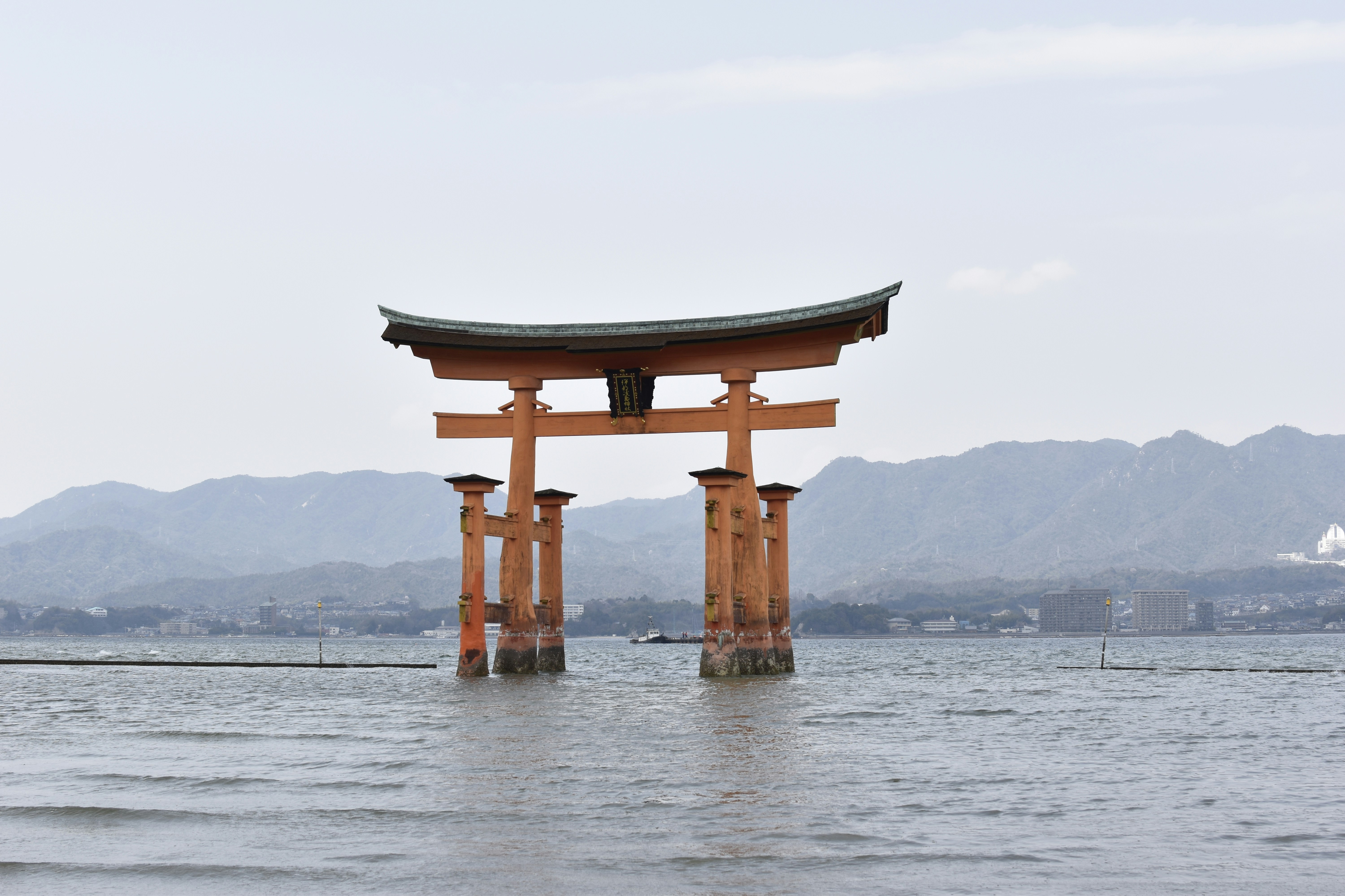 brown wooden post on water during daytime