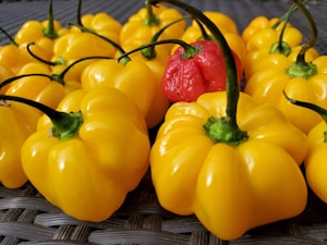 Yellow Bell Peppers