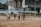 A group of people are playing beach volleyball on a sandy court. They are engaged in a game, with a ball in mid-air above the net. The background features a partially constructed or abandoned building, with some palm trees lining the area. The setting appears to be a seaside or coastal location, and the weather seems mild.