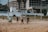 A group of people are playing beach volleyball on a sandy court. They are engaged in a game, with a ball in mid-air above the net. The background features a partially constructed or abandoned building, with some palm trees lining the area. The setting appears to be a seaside or coastal location, and the weather seems mild.