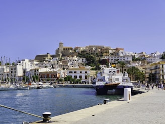 A picturesque harbor with boats docked along clear blue waters. In the background, a charming hillside town with white buildings and a prominent historical structure at the top. Palm trees line the waterfront, adding a tropical feel. People stroll along the quay, enjoying the sunny weather.