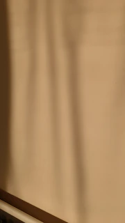 Abstract shadows cast on a smooth wall, creating gentle geometric patterns.