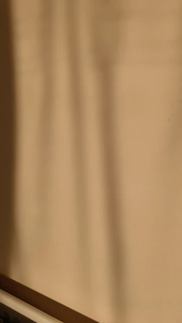 Abstract shadows cast on a smooth wall, creating gentle geometric patterns.