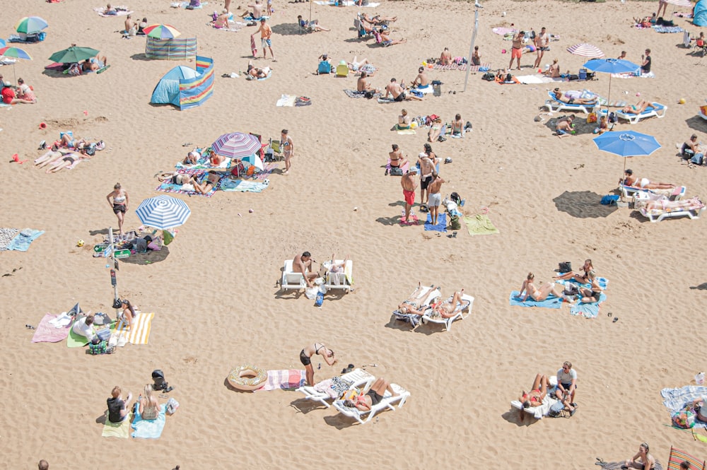 people gathering on beach during daytime