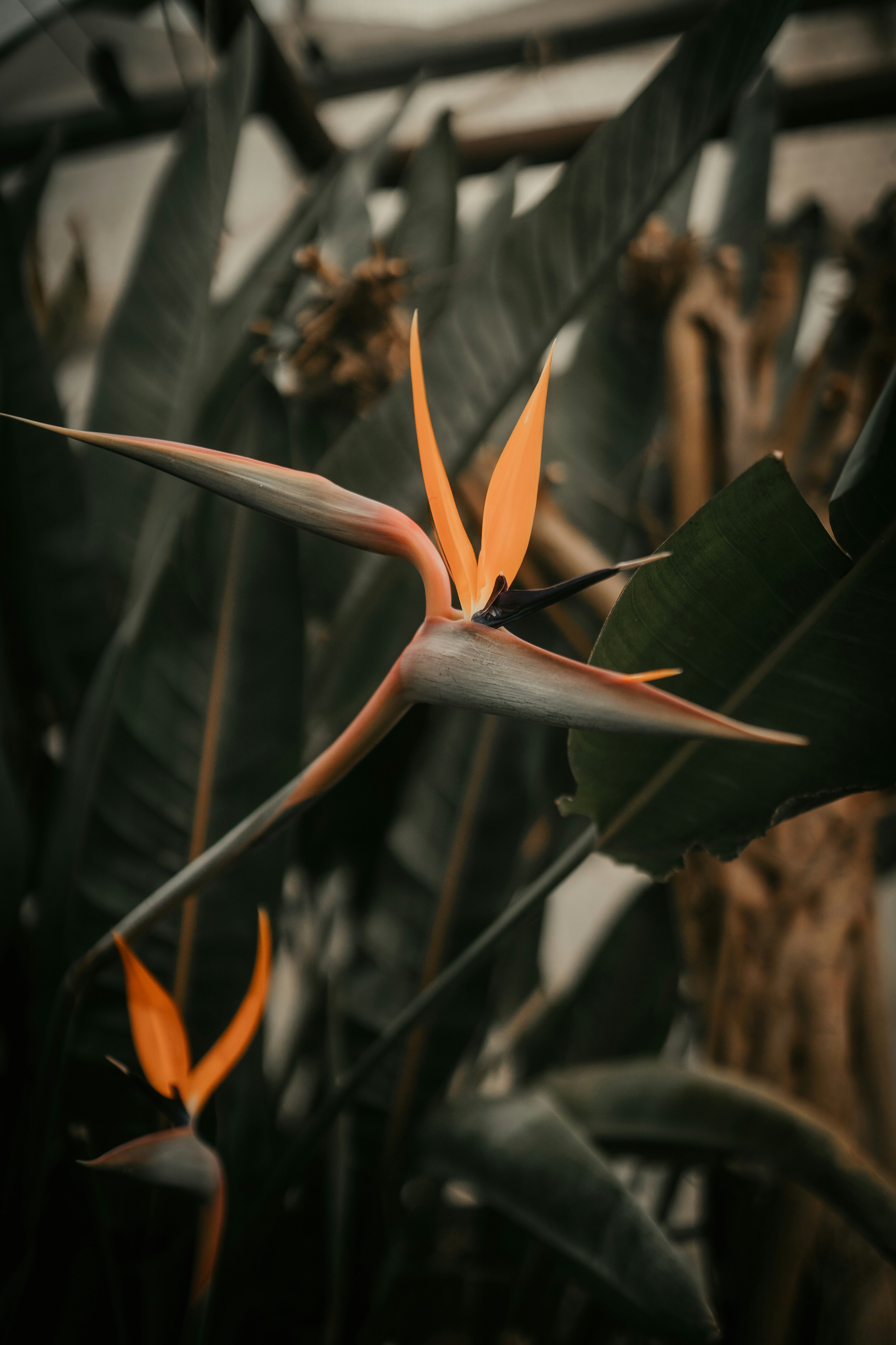 Photo by luiseandnic