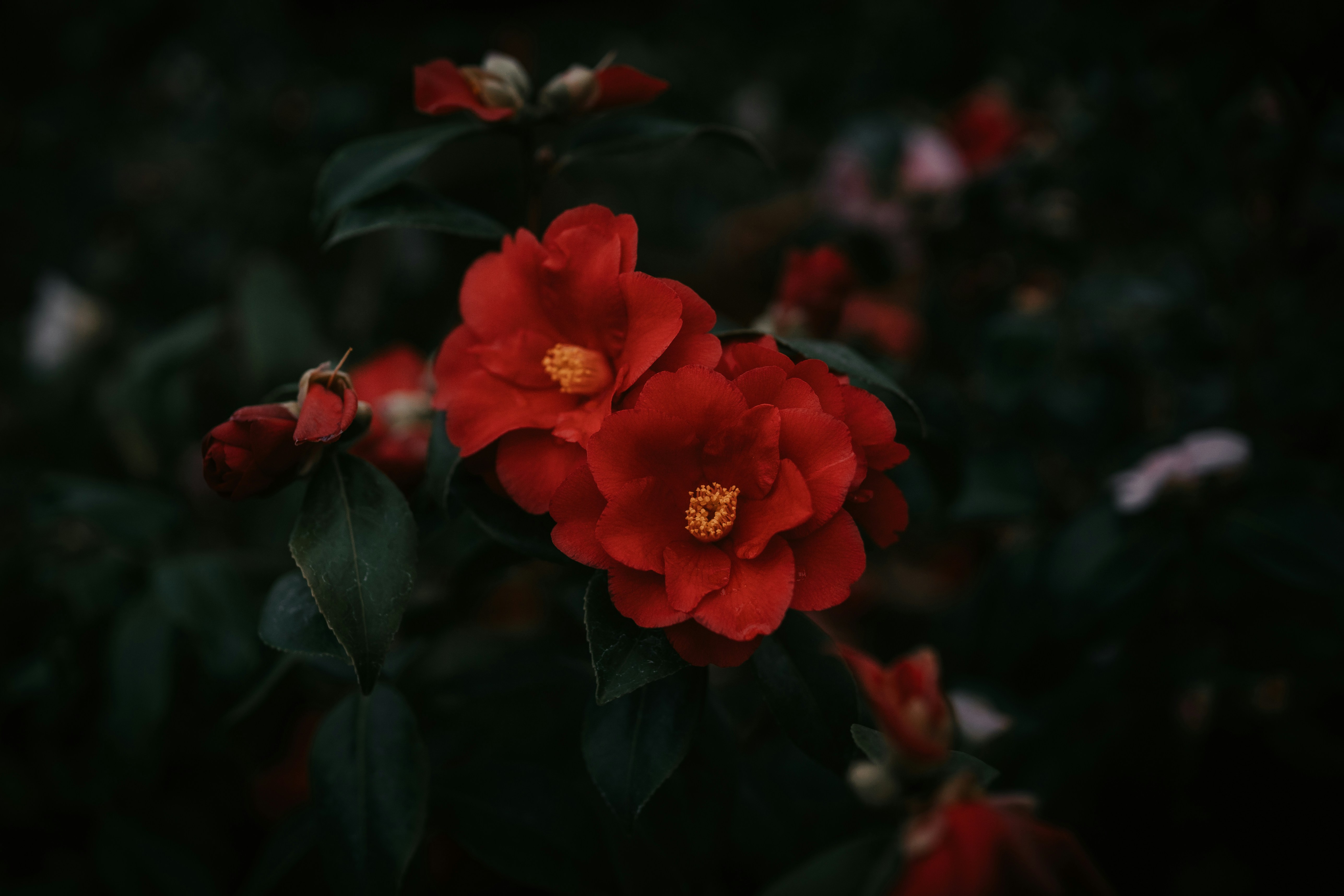 Photo by luiseandnic