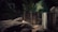 A green tent is set up in a wooded area with a metal camping stove and a stainless steel container visible in the foreground. Large rocks and a tree trunk are scattered around the campsite, with dense foliage in the background. The scene is dimly lit, suggesting early morning or late evening.