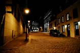 A quiet cobblestone alley in Montmartre with vintage street lamps at dusk.