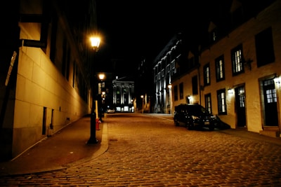A quiet cobblestone alley in Montmartre with vintage street lamps at dusk.
