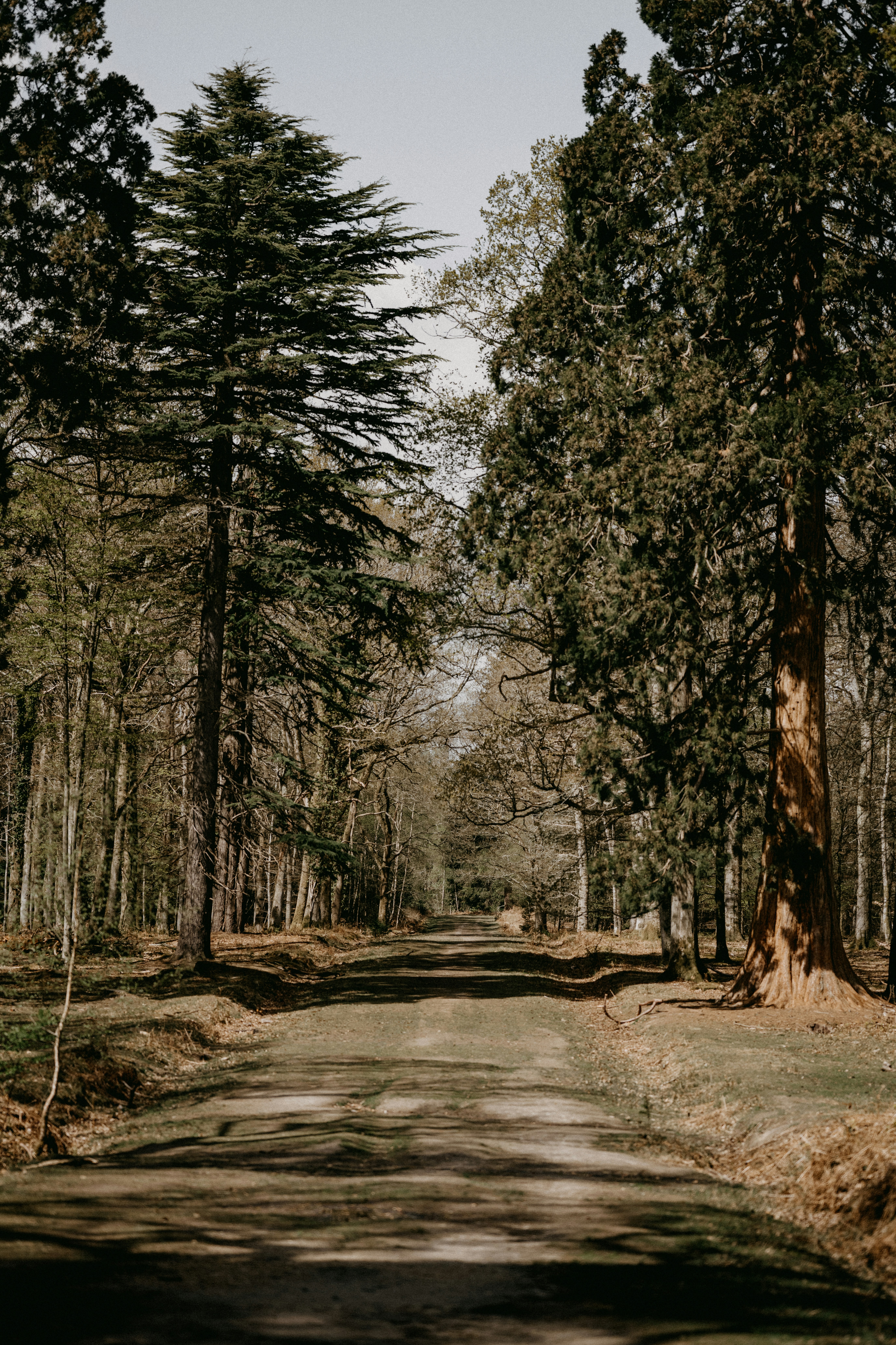 Photo by anniespratt