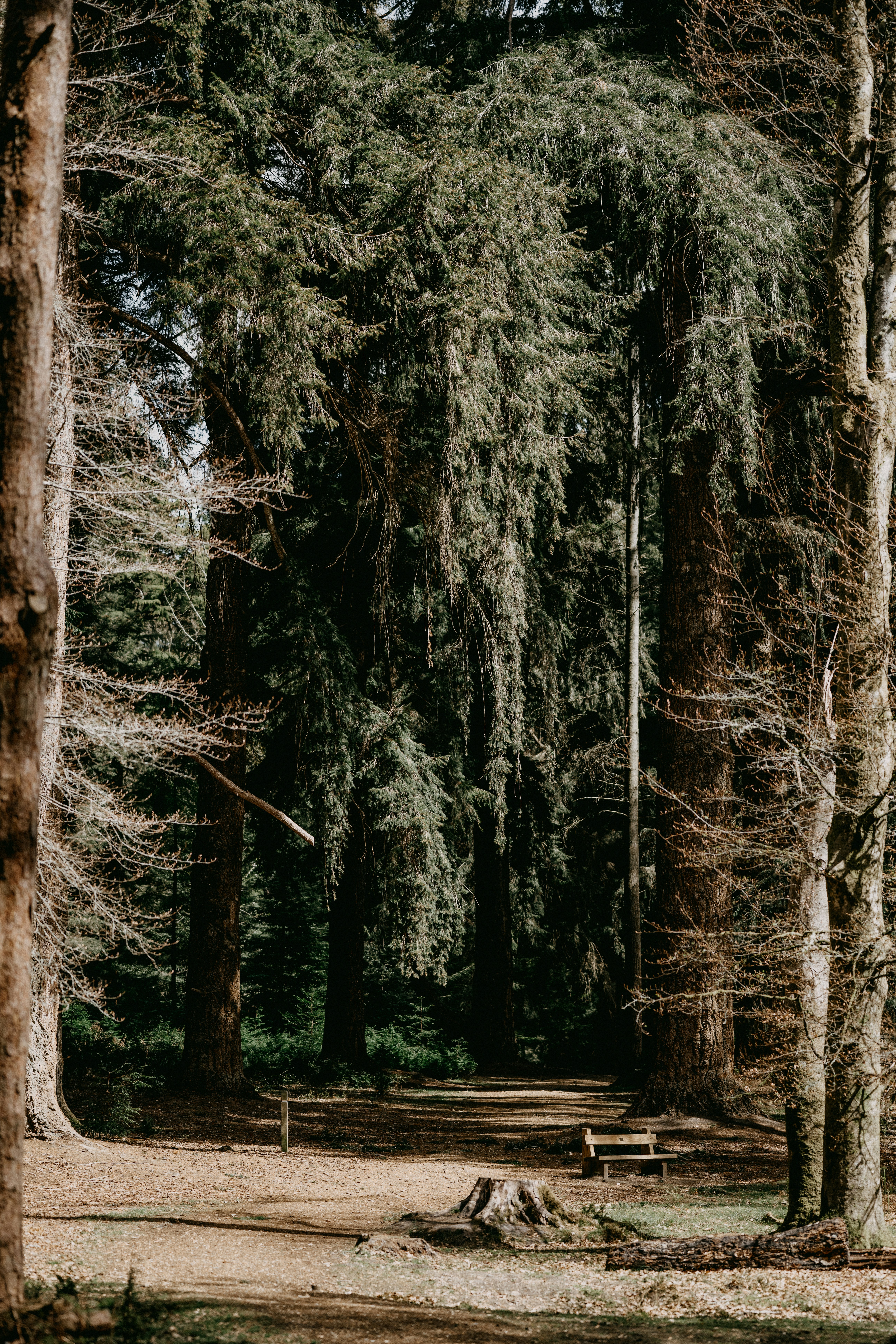 Photo by anniespratt