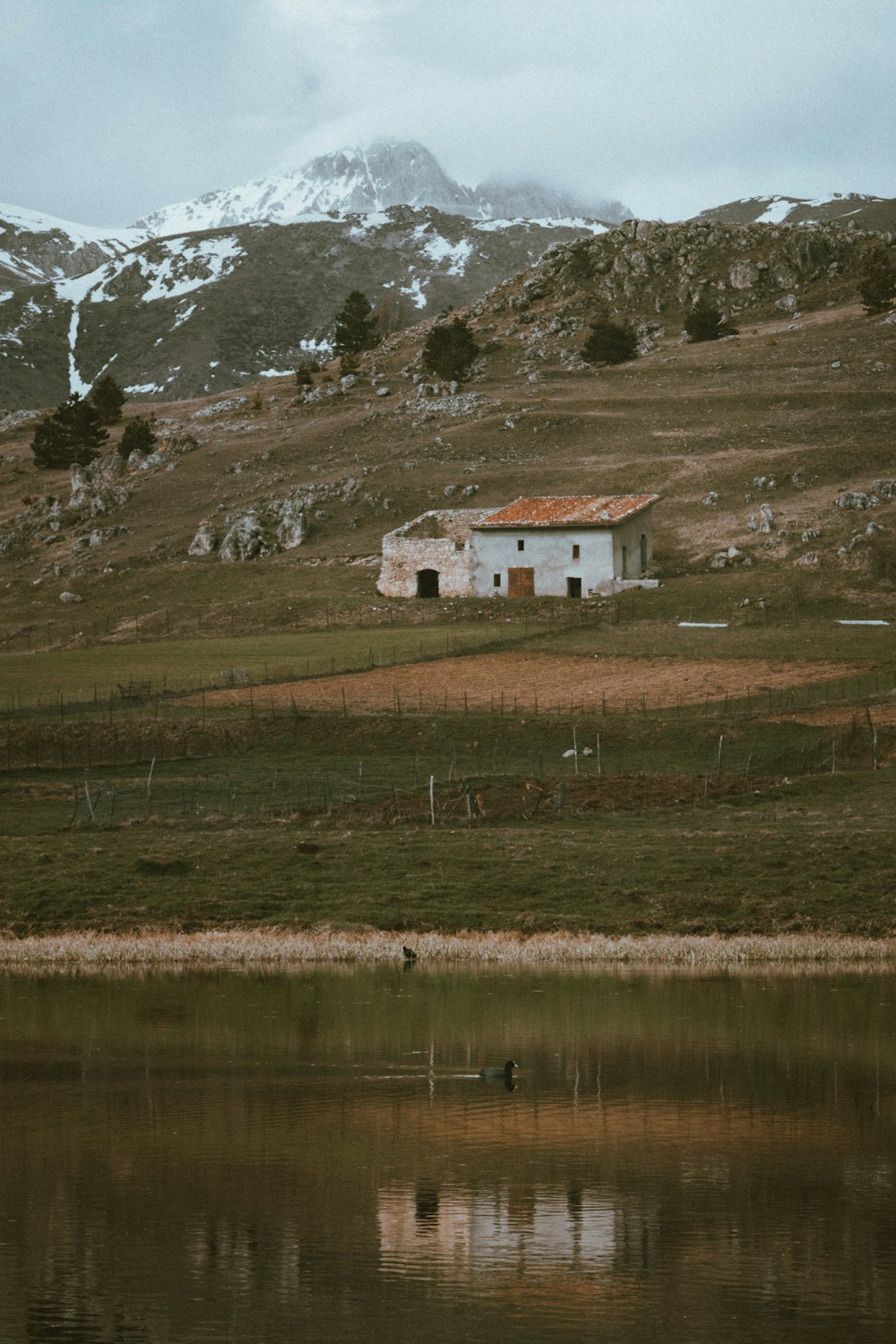 Maison blanche et brune près du lac et de la montagne