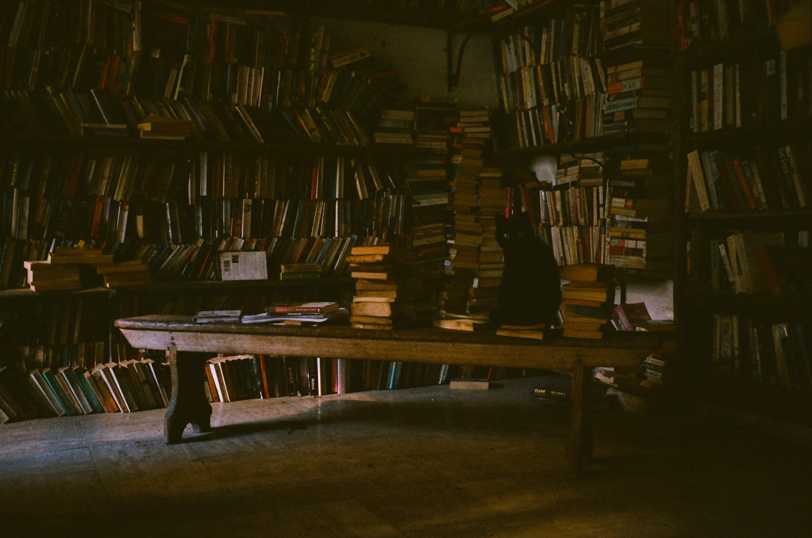 Warm library interior filled with tall bookshelves