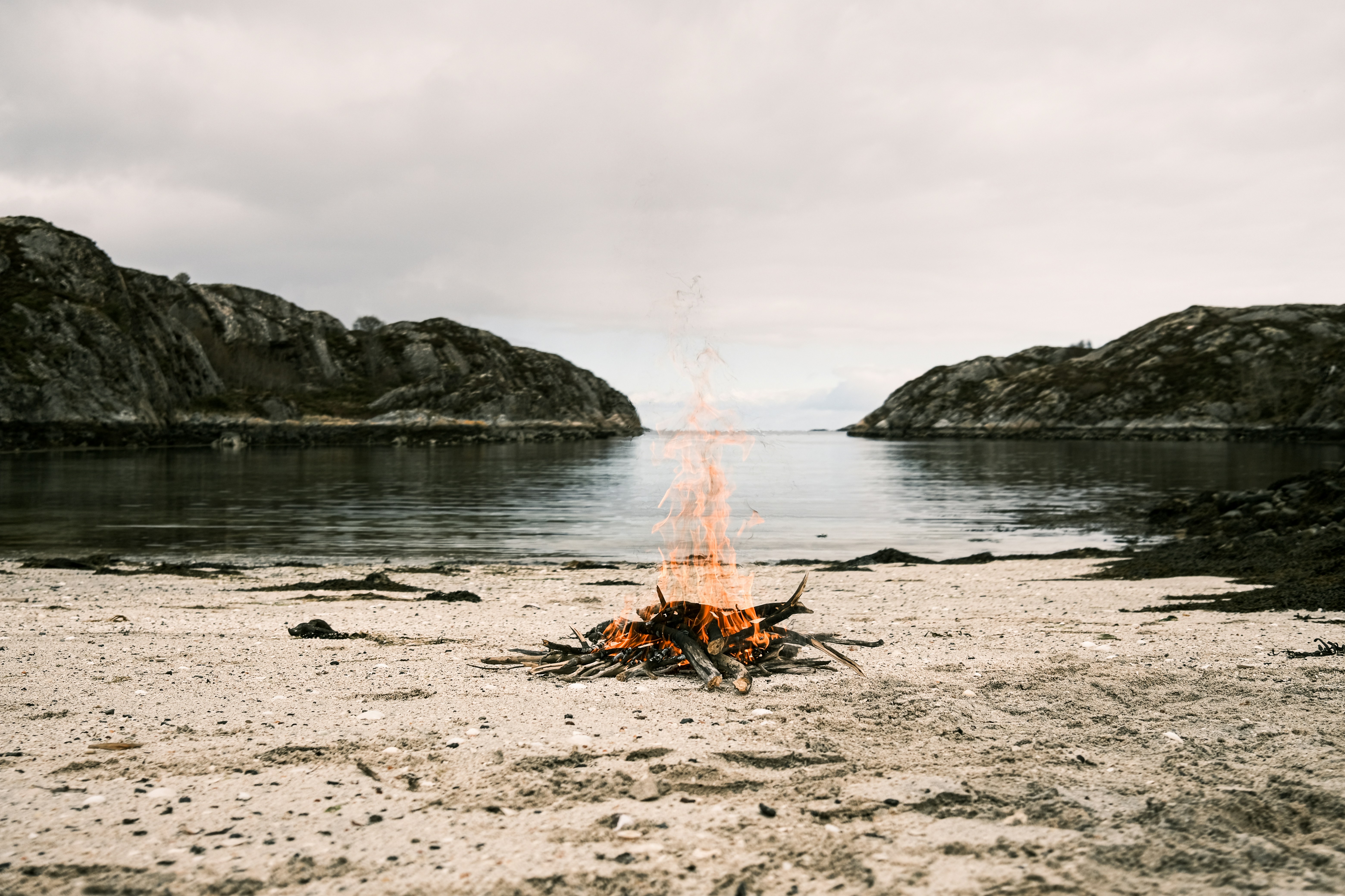 brown and black horse on brown sand near body of water during daytime, 