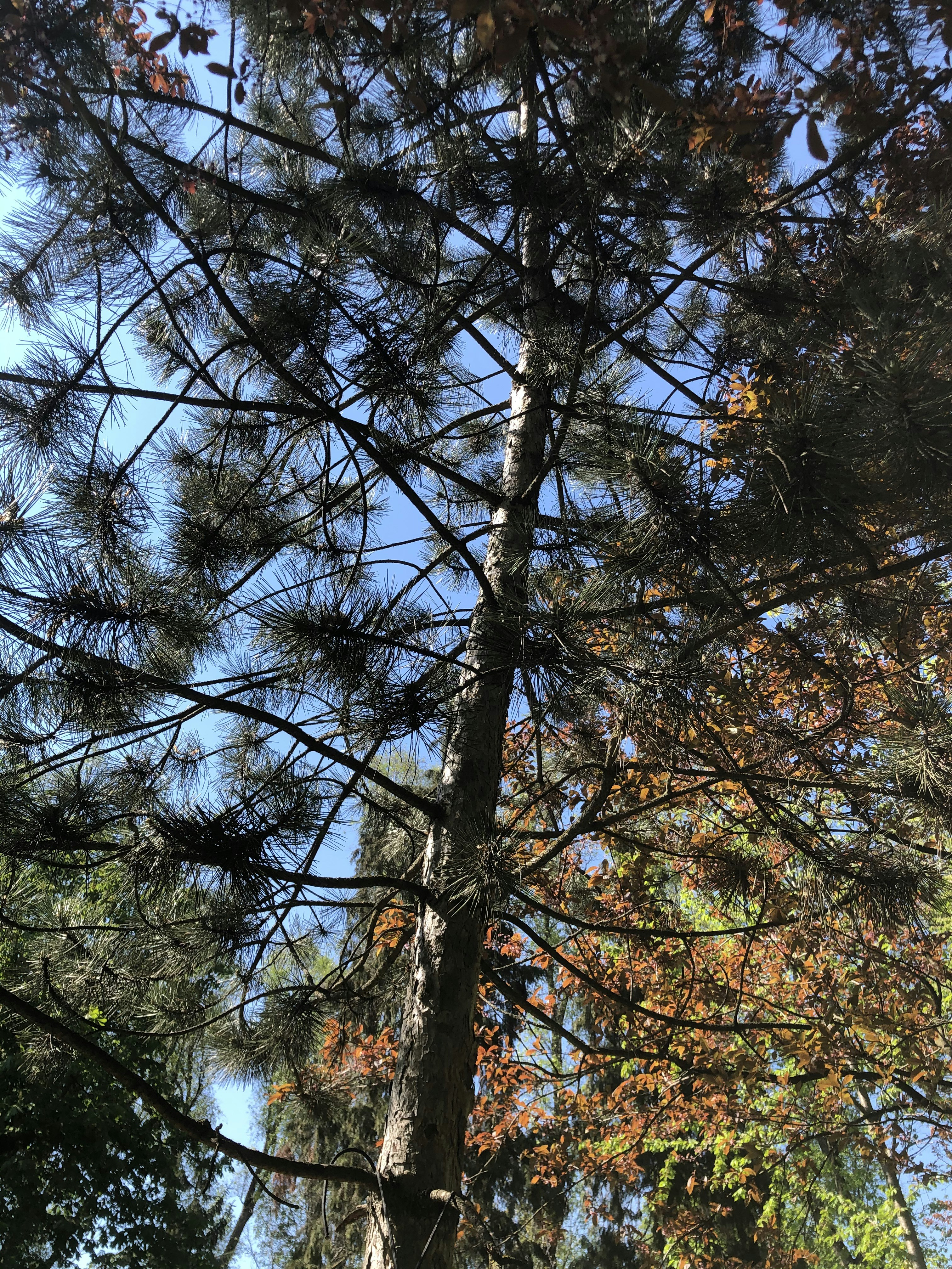 Photo by alldaybradley