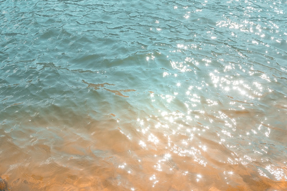 body of water during daytime