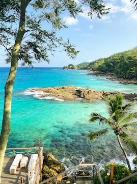 A picturesque coastline featuring turquoise blue waters gently lapping against rocky shores. Lush green trees and palm fronds partially frame the view, with a small wooden deck overlooking the ocean. The distant landscape is filled with dense greenery, adding to the tropical atmosphere.