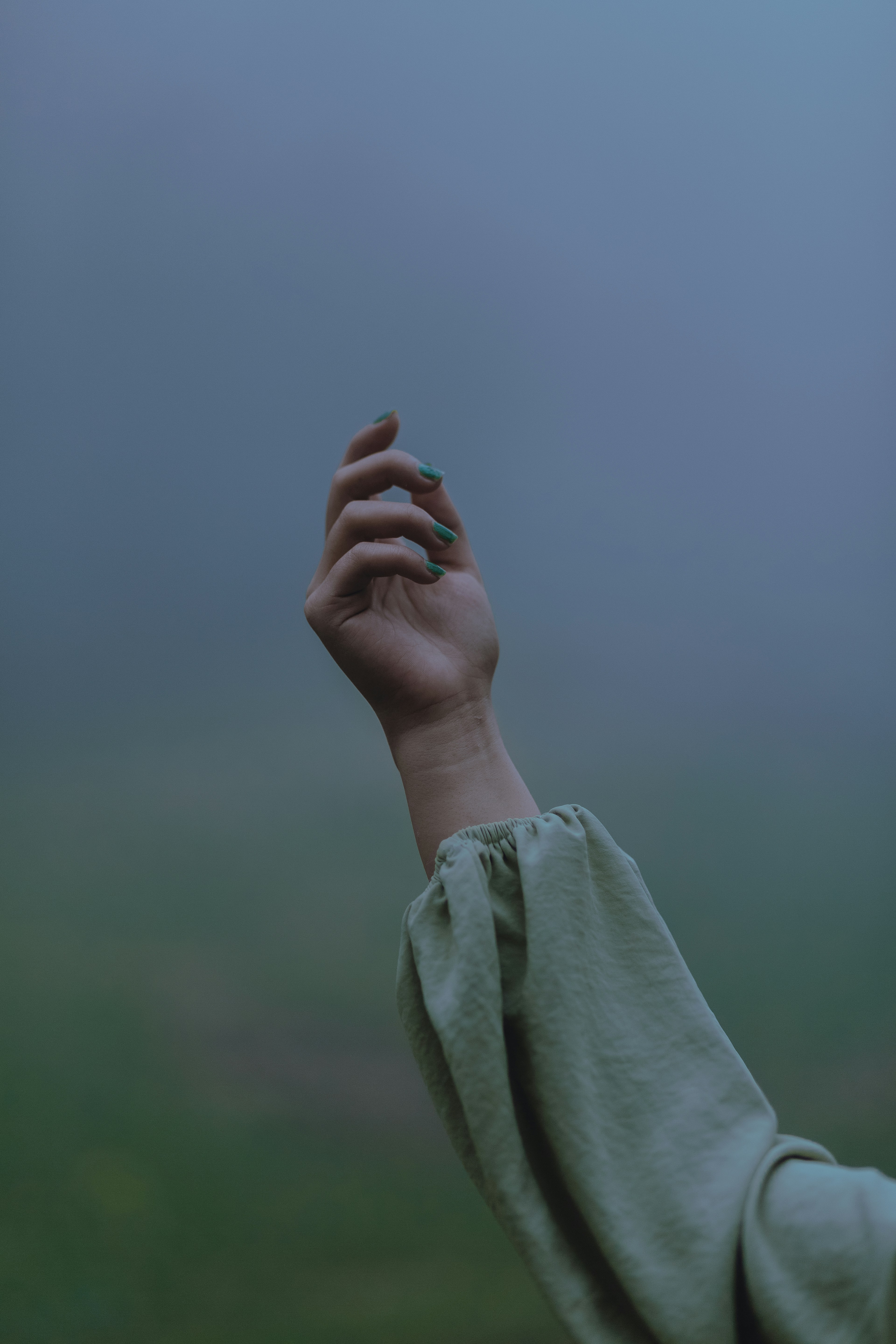 Photo by mohsenamerri