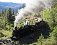 black train on rail road near green trees during daytime