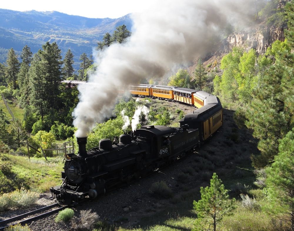 black train on rail road near green trees during daytime