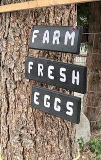 Wooden signs with the words 'FARM FRESH EGGS' are hanging on a tree. The signs are painted in black with white lettering and are attached with red twine. The background includes the bark of the tree and some greenery.