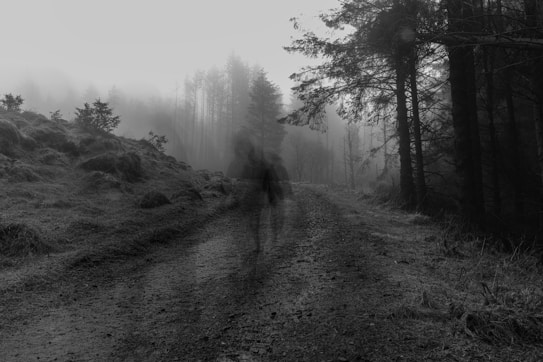 A misty forest scene with a dirt path running through it, surrounded by tall, dark trees. The atmosphere is foggy and slightly eerie. A shadowy, blurred figure appears on the path, possibly indicating motion or an optical effect.