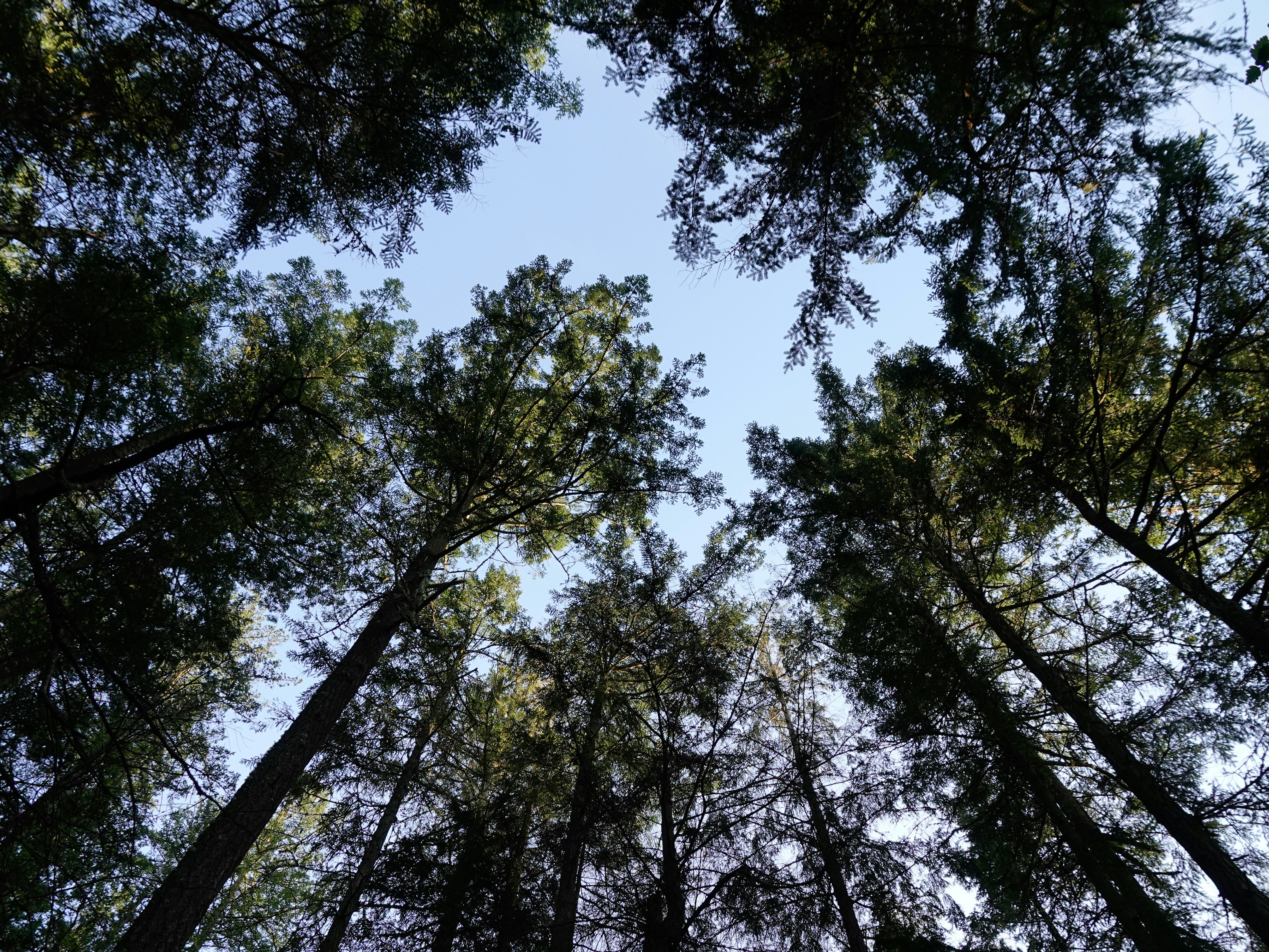 Photo by pavlpolo_official