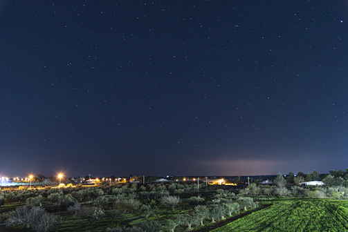 A serene nighttime landscape showing a clear star-filled sky over a quiet village.