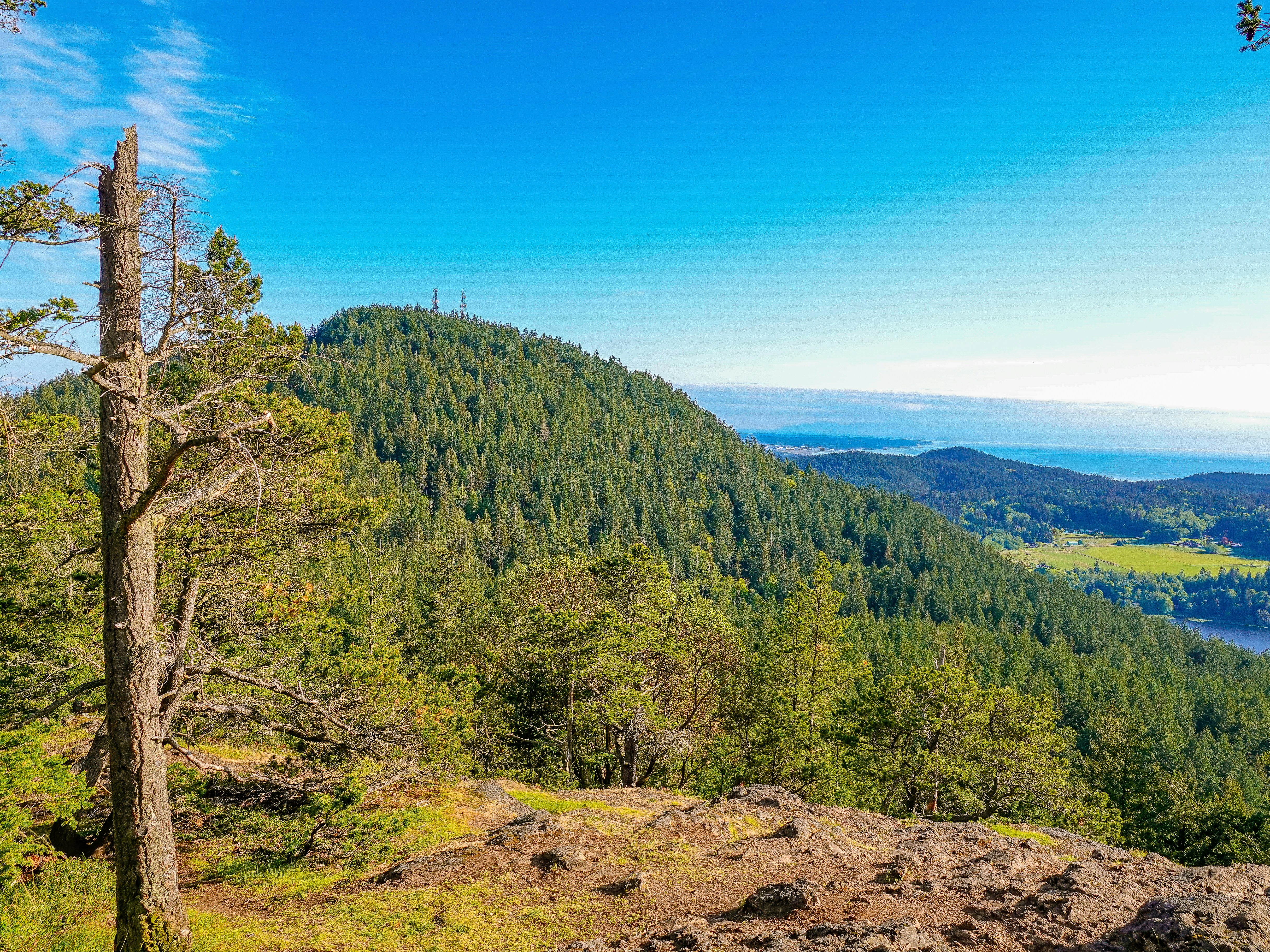 Photo by pavlpolo_official