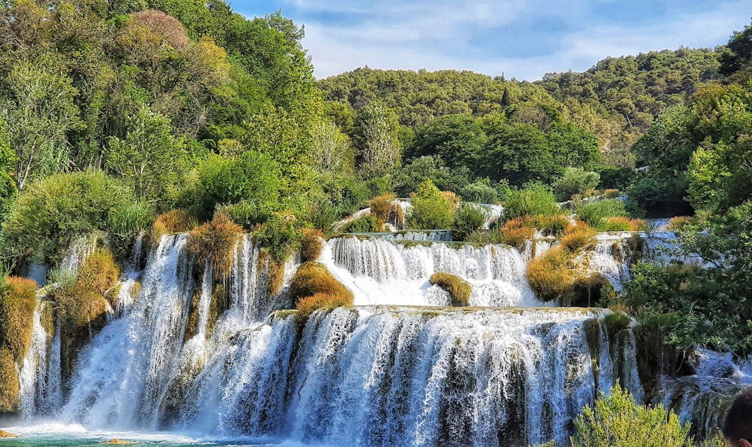 waterfalls in the middle of green trees,