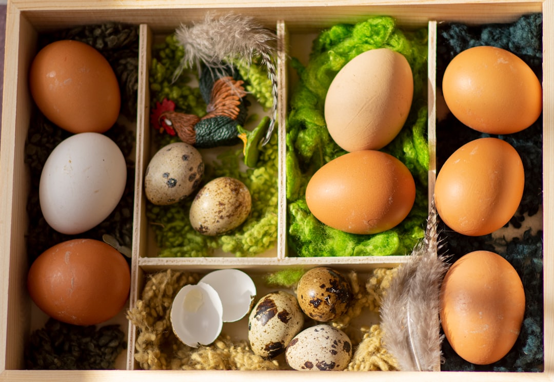 brown egg on egg tray