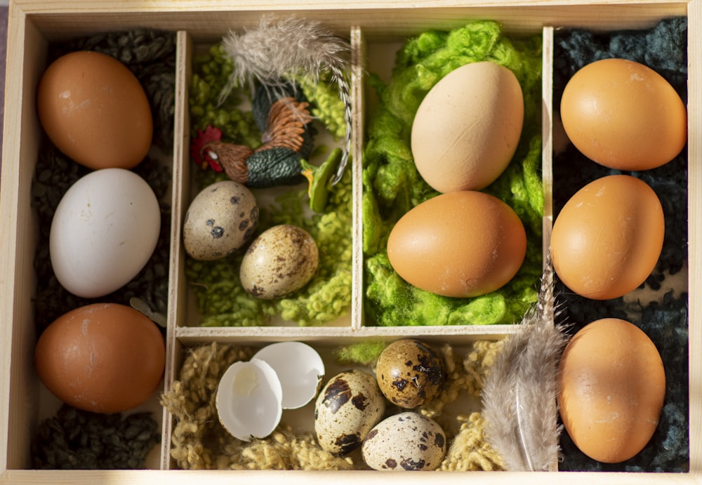 brown egg on egg tray