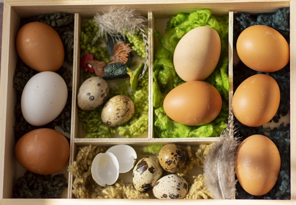 Brown egg on egg tray