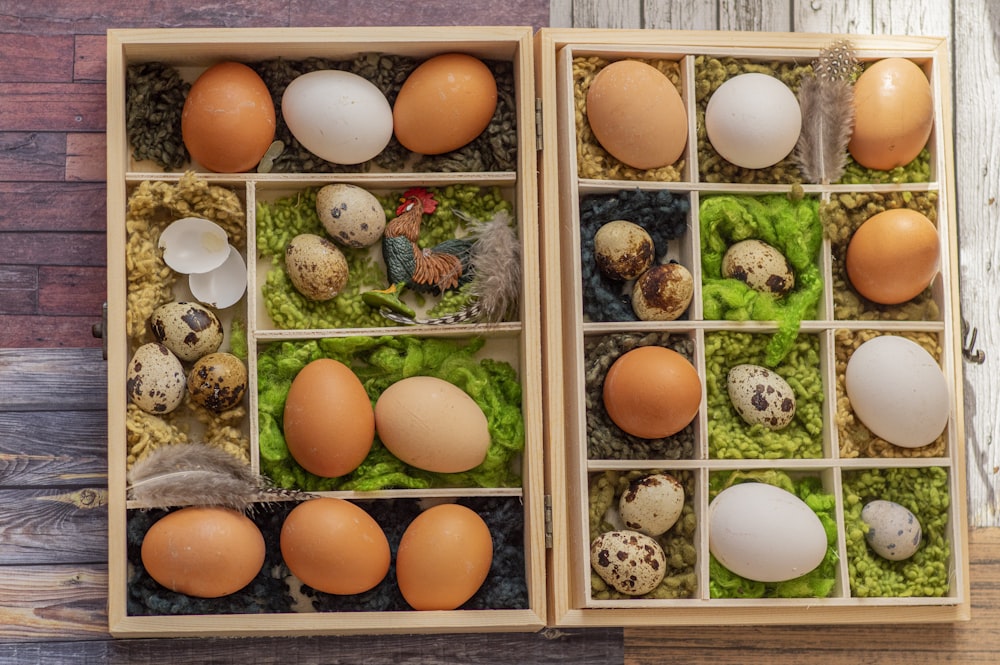 brown egg on white wooden shelf