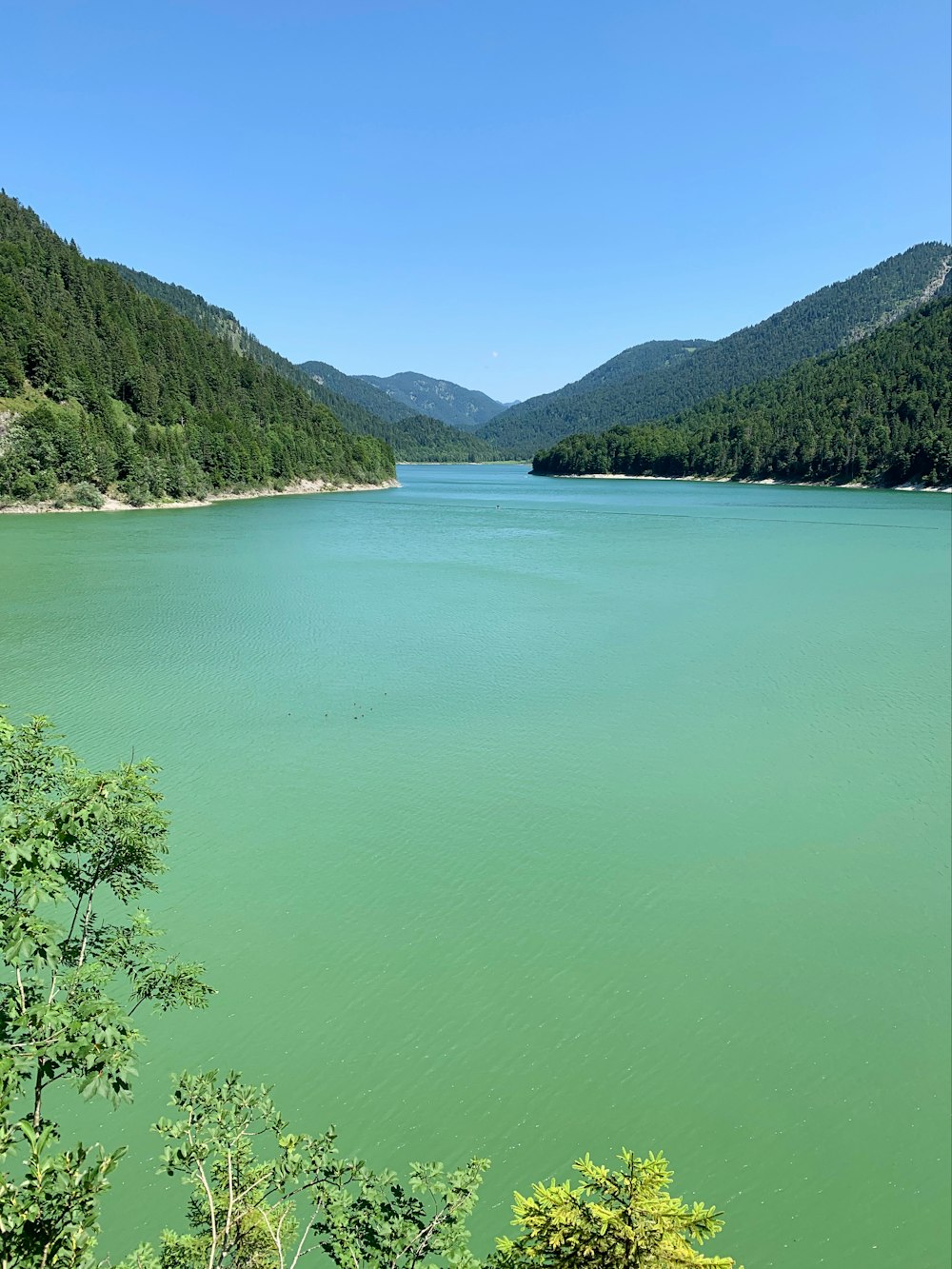 green lake surrounded by green mountains during daytime