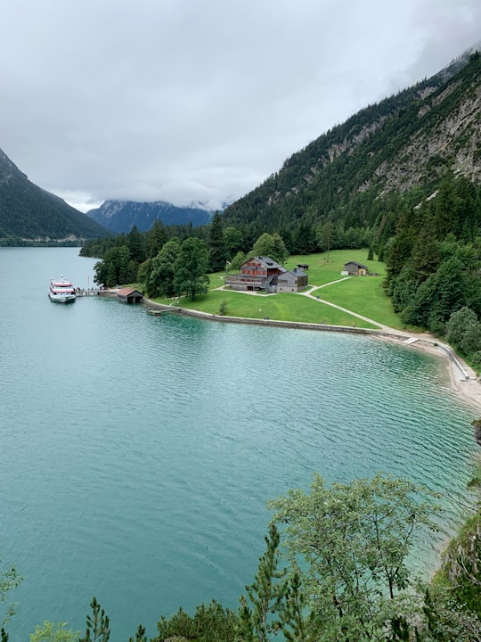 green trees near body of water during daytime in Achenkirch Austria