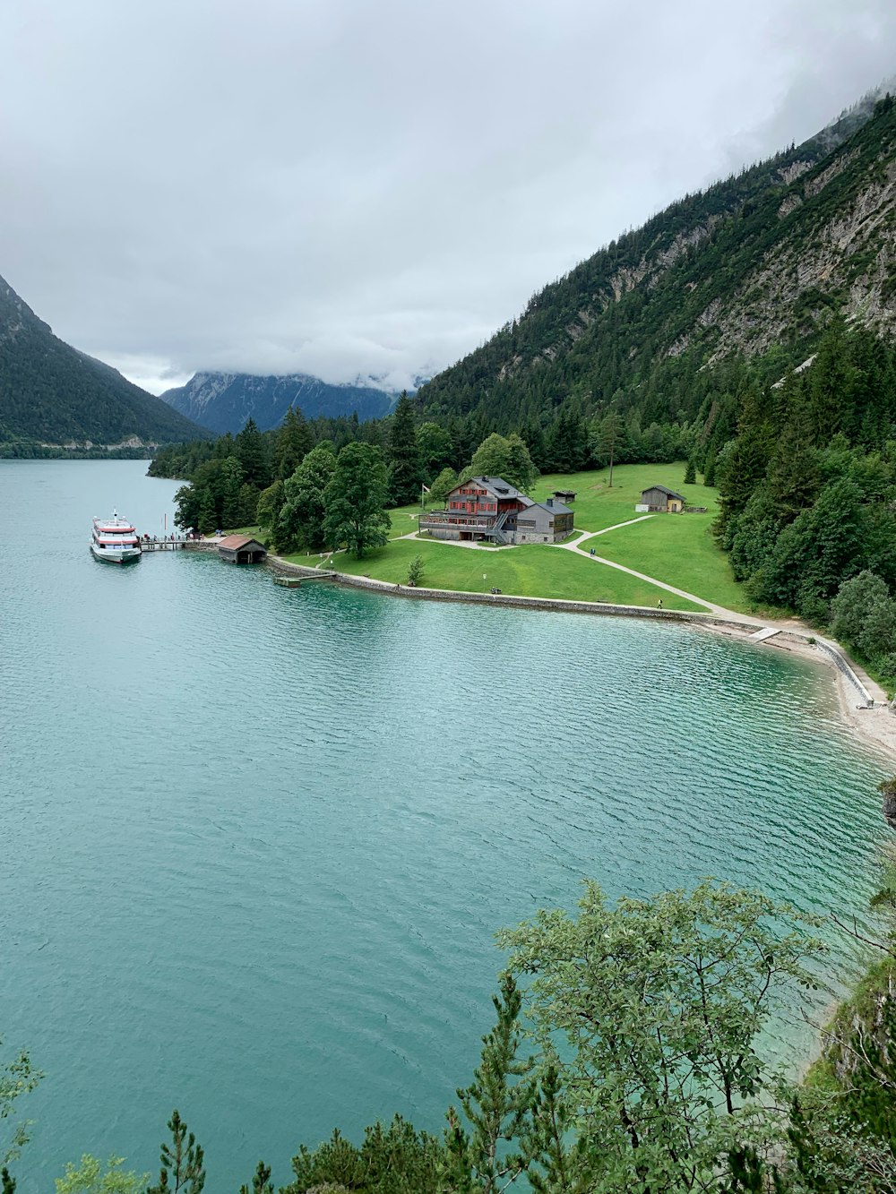 green trees near body of water during daytime