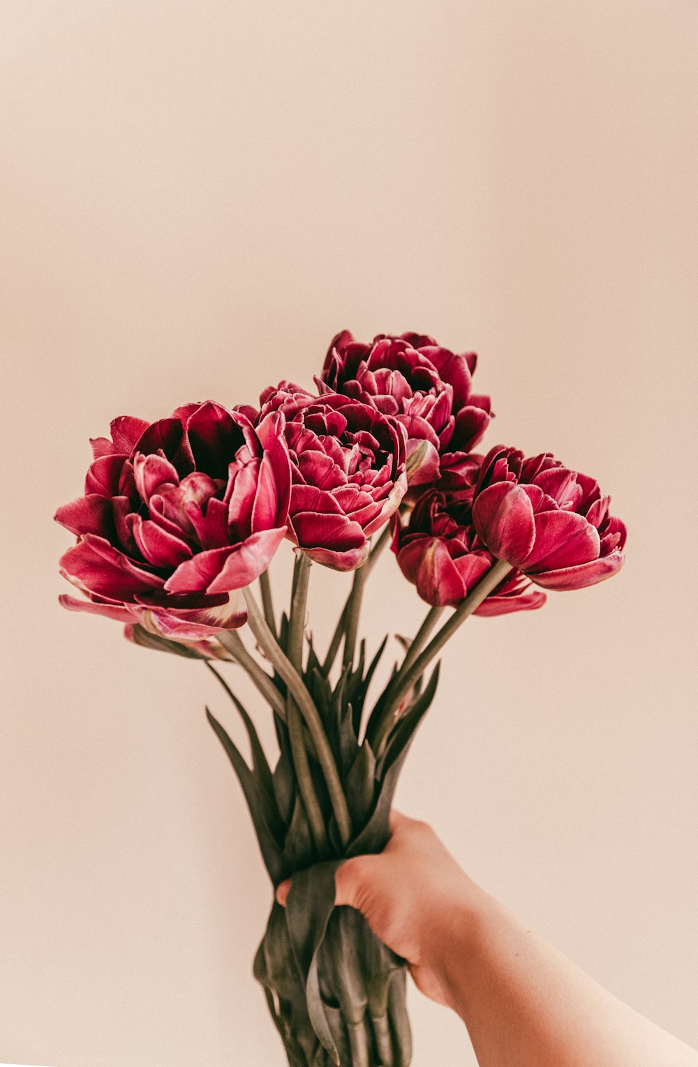 Roses roses dans un vase en céramique marron