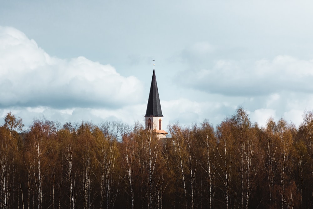 white and brown concrete building surrounded by trees under white clouds during daytime