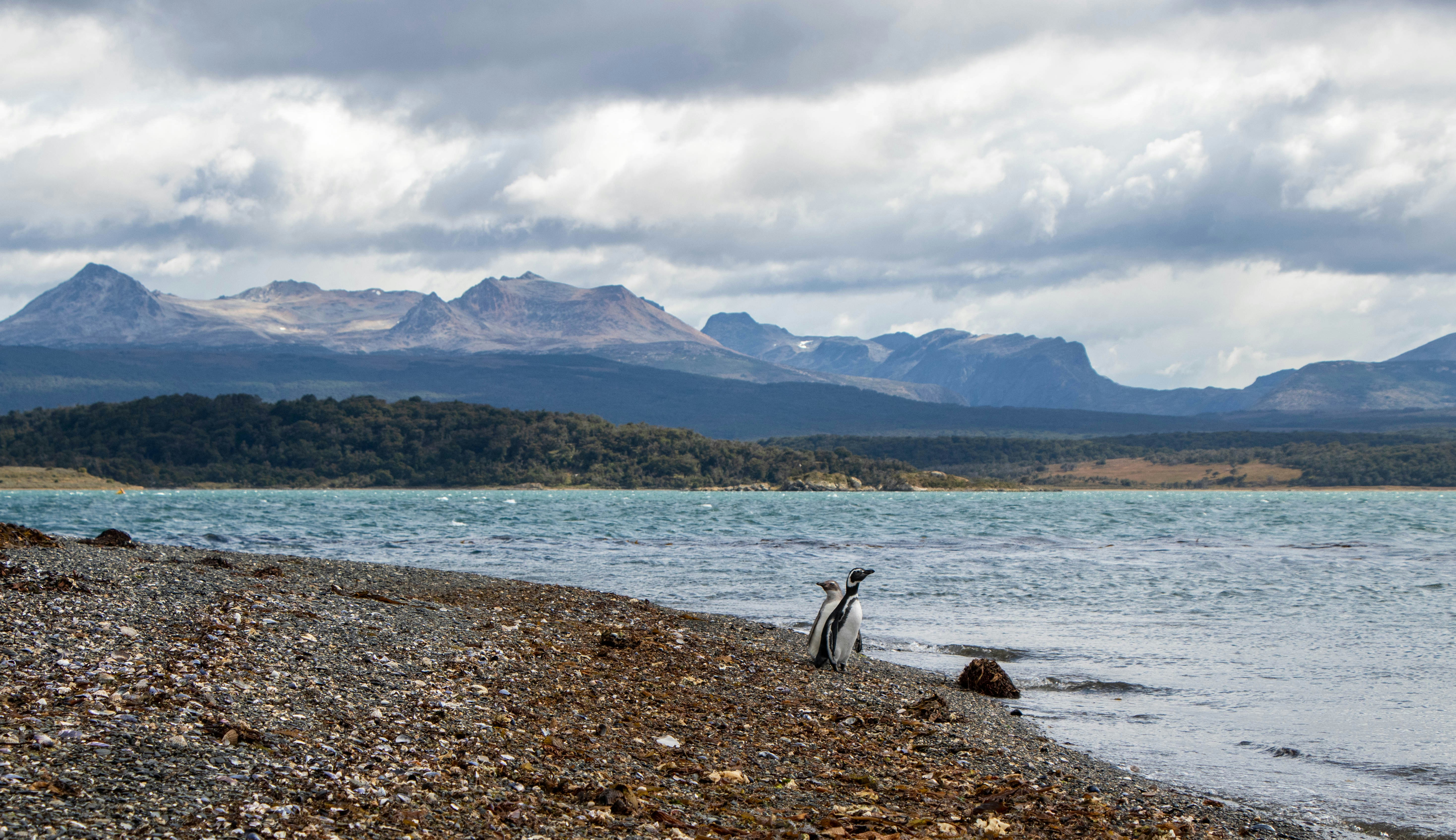 person in gray jacket sitting on rock near body of water during daytime